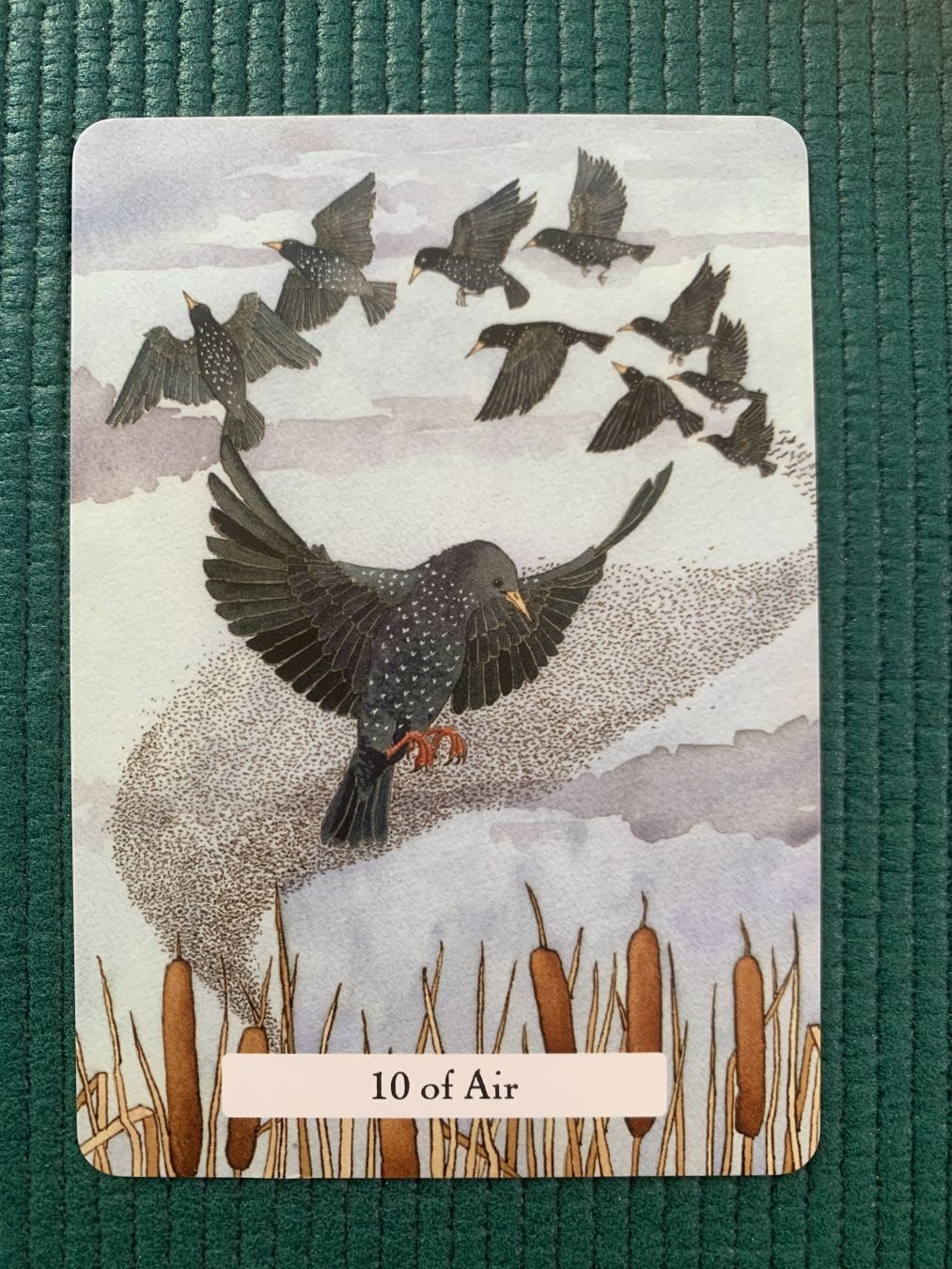 #witcheswisdomtarot
#10ofair #10sværd