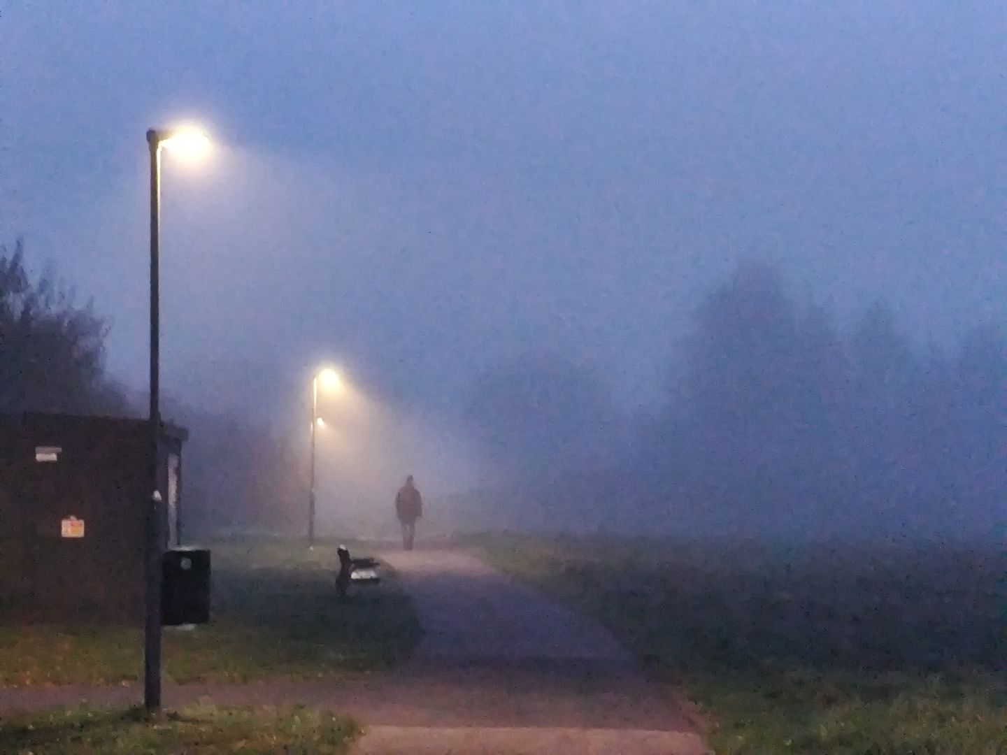 Sylwetka człowieka spacerującego alejką we mgle.